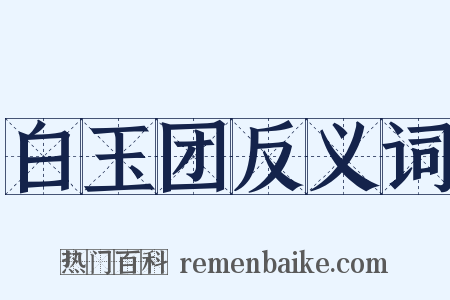 白玉团反义词是什么意思的图片